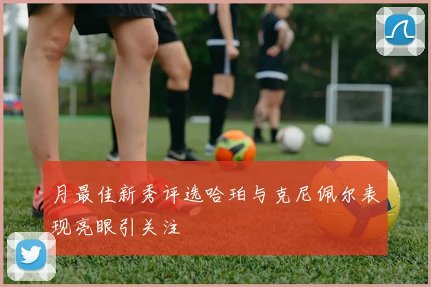 月最佳新秀评选哈珀与克尼佩尔表现亮眼引关注